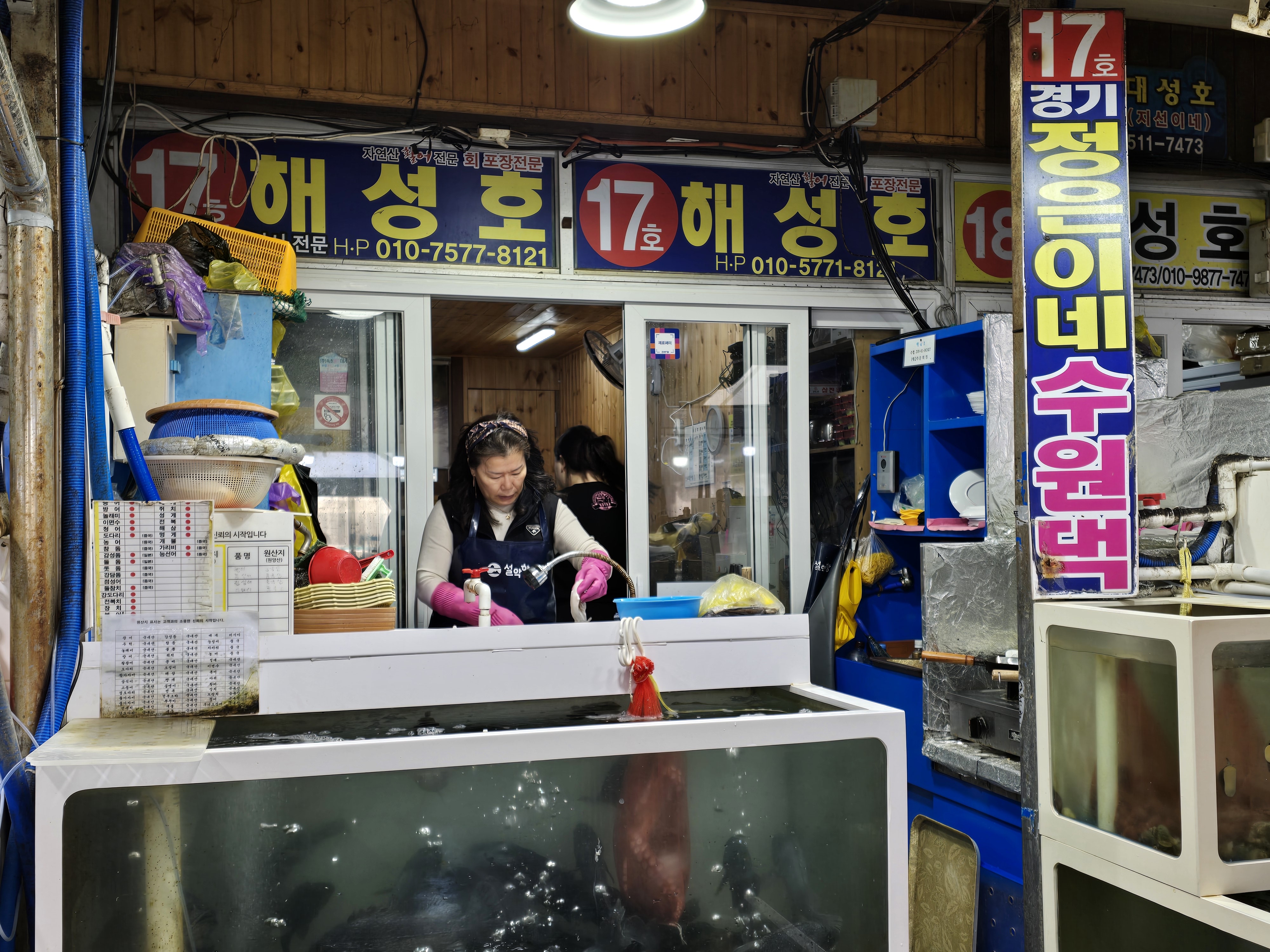 [강원 속초시] 설악항 해성호 맛집 체험단