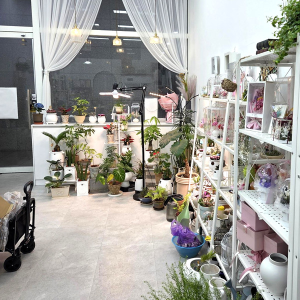 [경기 안양] 지니플로라