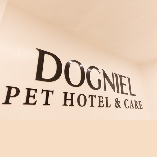 [서울/광진구] 도그니엘