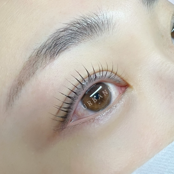 [전북/전주] 어베인