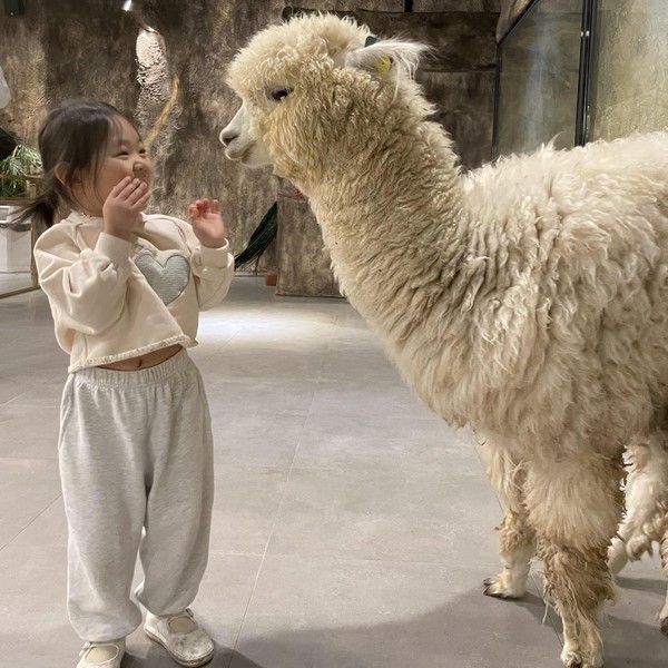 [경남/거제] 와우쥬 거제점