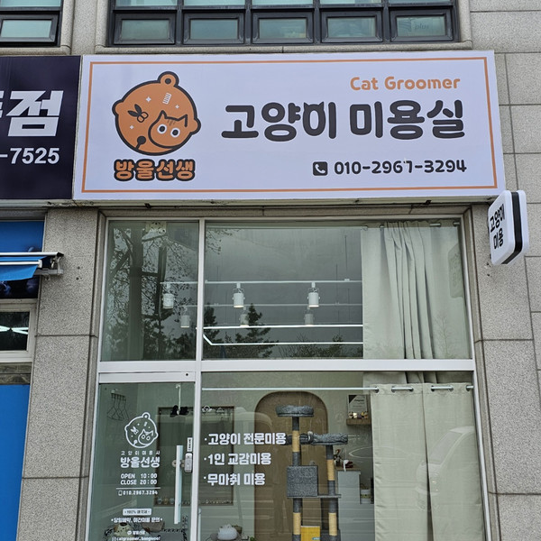 [경기 안산] 고양이미용실 방울선생