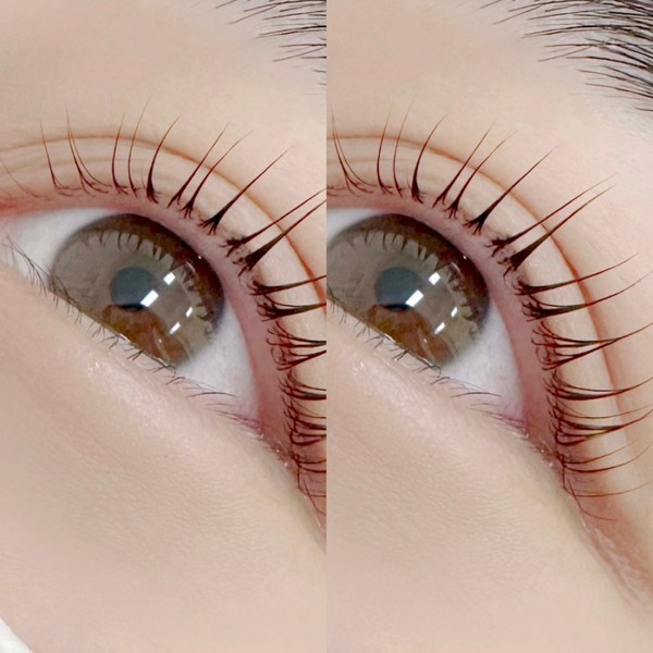 [전북 전주] 무드앤무드