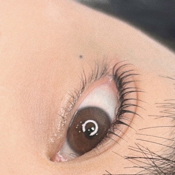 [대전 서구] 로나브로우