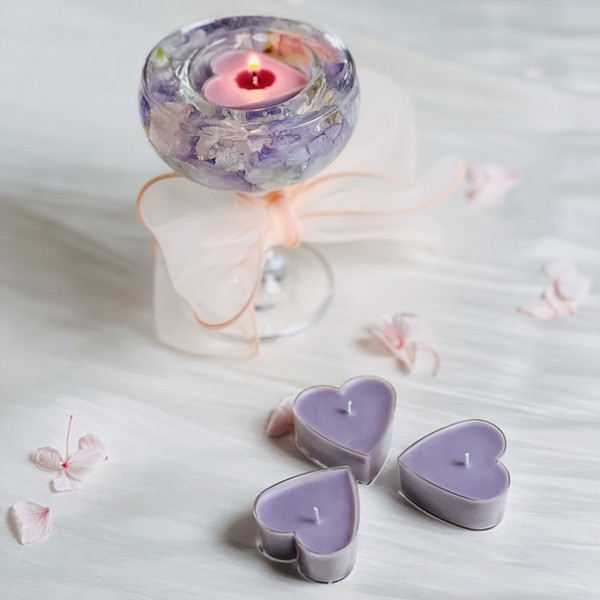 [광주 서구] 미오앤노이