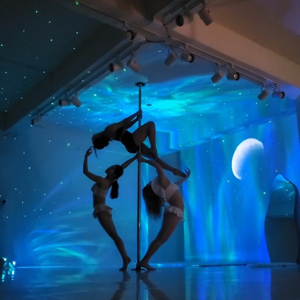 [서울 성북] 오로라 폴 스튜디오