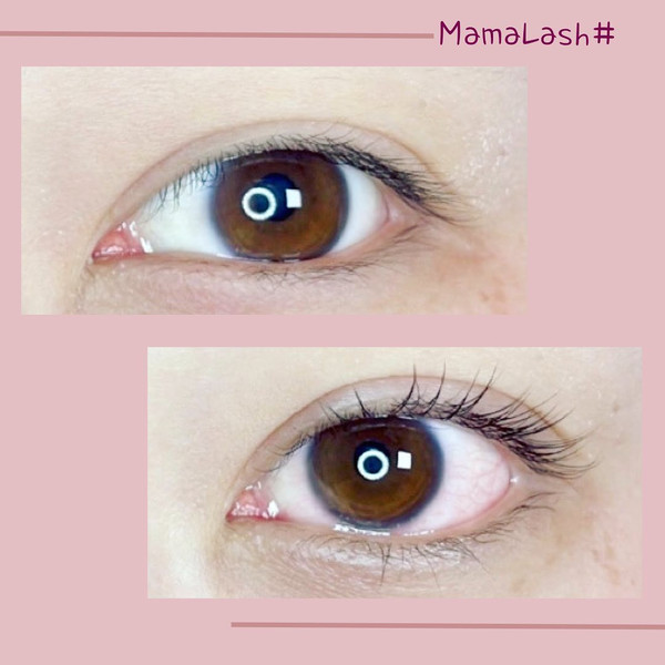 [수원 영통] 마마래쉬