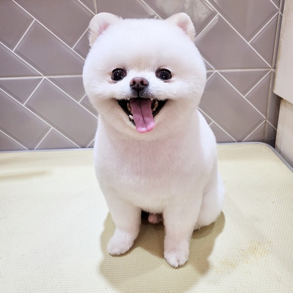 [부산 부산진] 몽몽샵