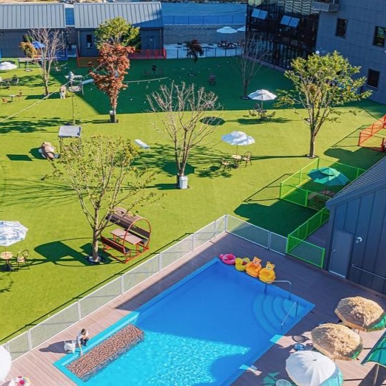 [경기 양평] 별빛애견펜션