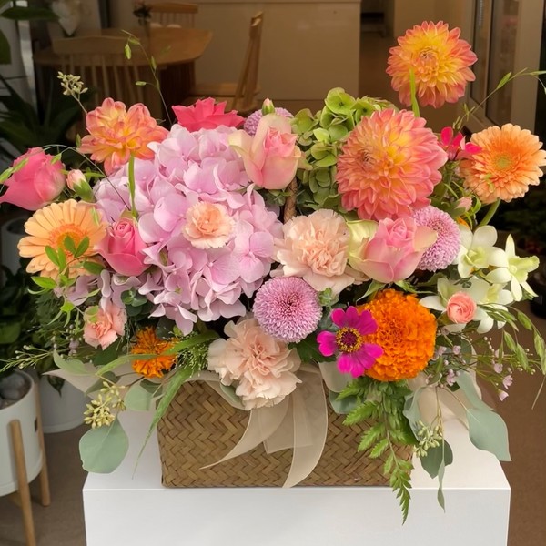 [서울 강서] 하닐라플라워