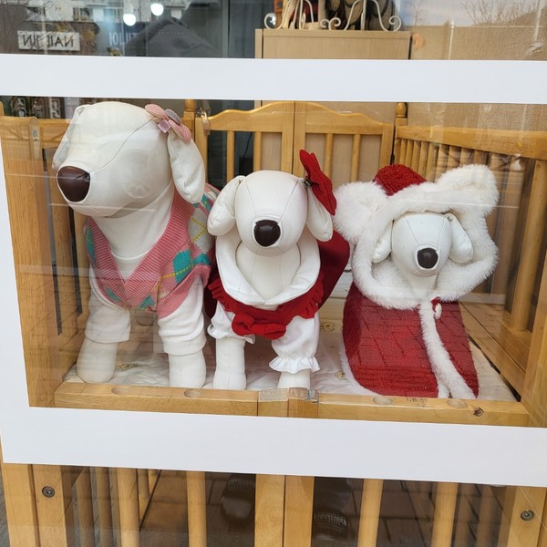 [경남 창원] 댕일리룩