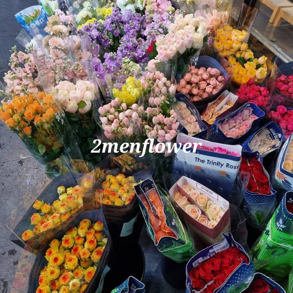 [춘천 동내] 춘천꽃도소매 조은생화(2menflower)