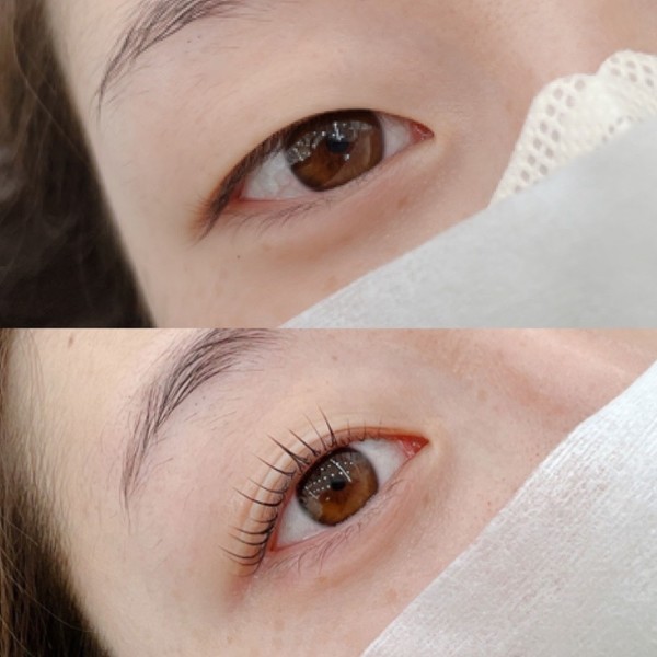 [강릉 회산] 쏭눈썹