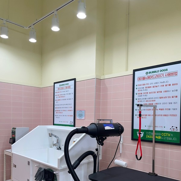 [세종] 버블독스 세종점