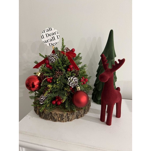 [경남 거제] 디어올플라워