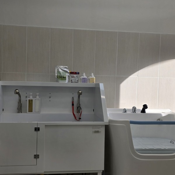 [충남 서산] 뽀독뽀DOG