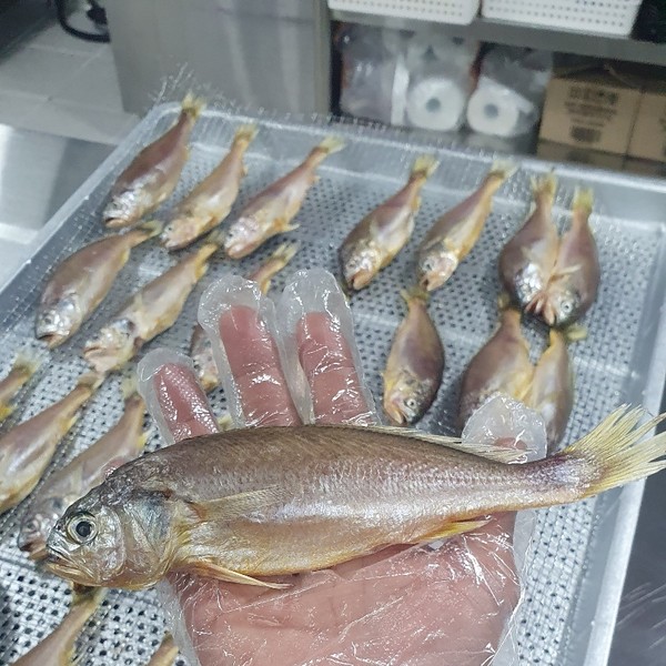 [전남 목포] 서준수산