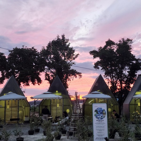 [경기 안성] 룩스바베큐