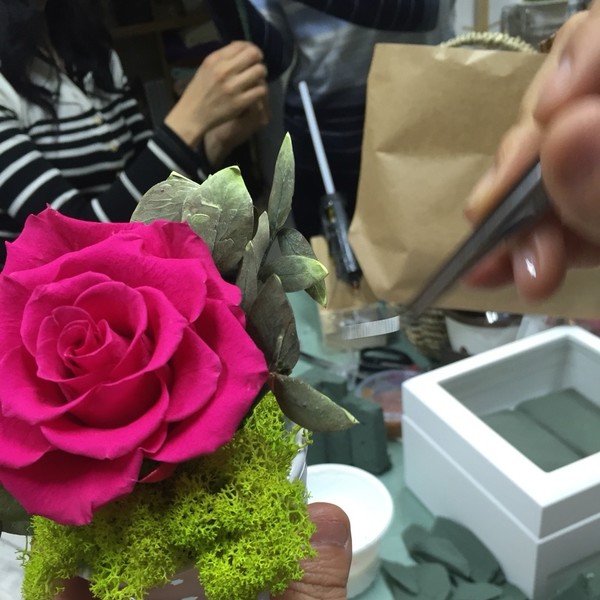 [경북 영양] 꽃일다