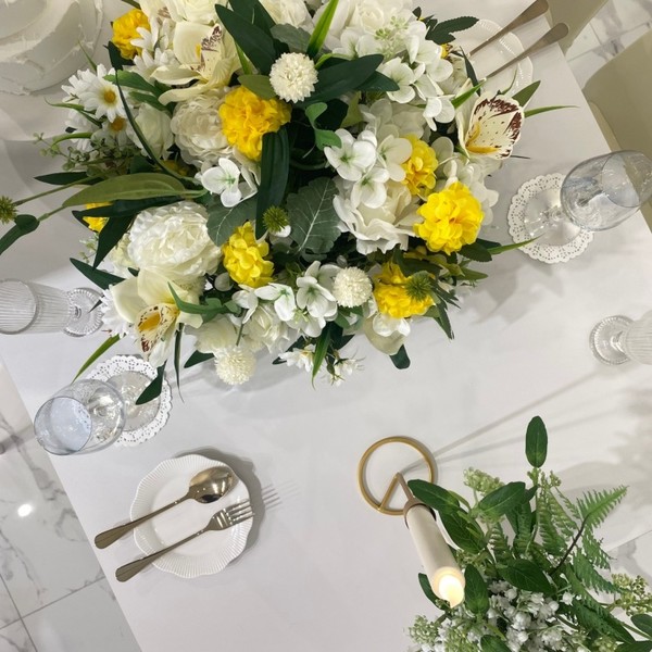 [경남 창원] 델피니움