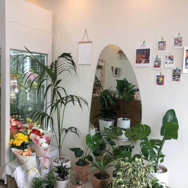 [대전 서구] 미아모르