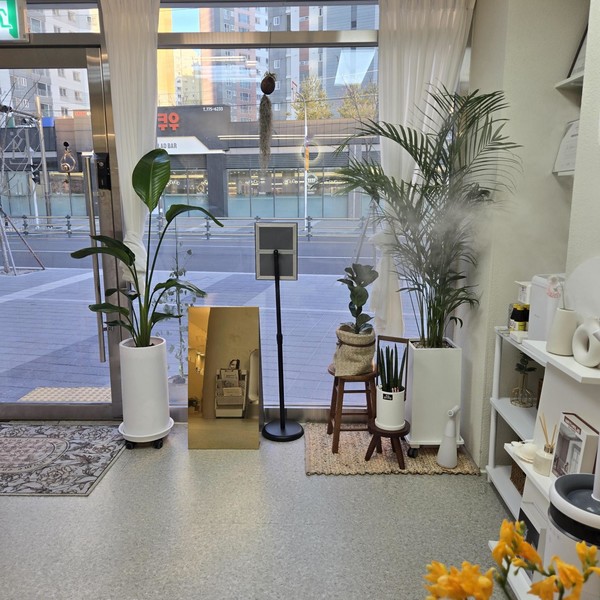 [경북 경주] 뤼미에르에스테틱