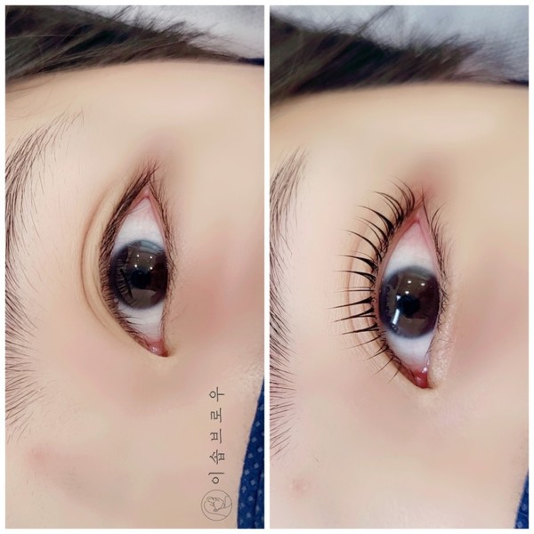 [경기 평택] 이솝브로우