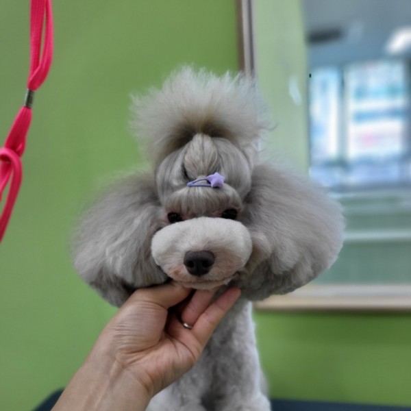 [인천 남동구] 포비숑