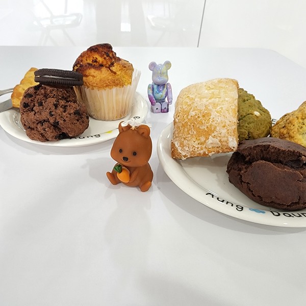 [강원 원주] 아웅다웅