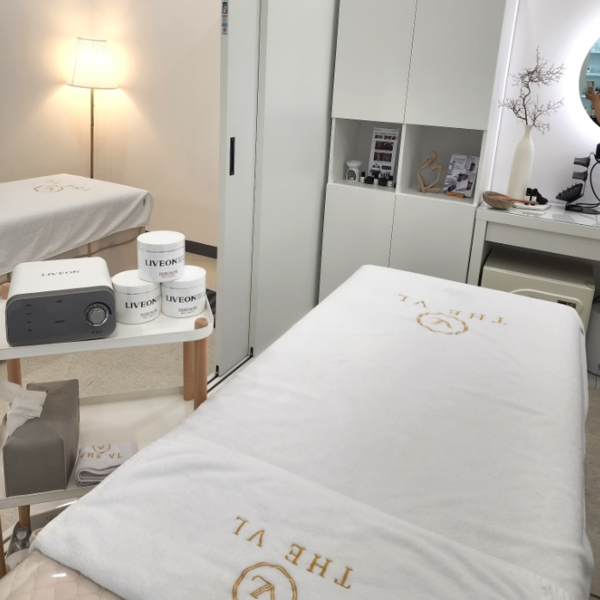 [경기 남양주] 더브이엘