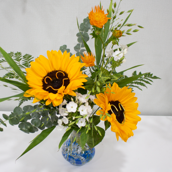 [서울 금천구] 덩크리