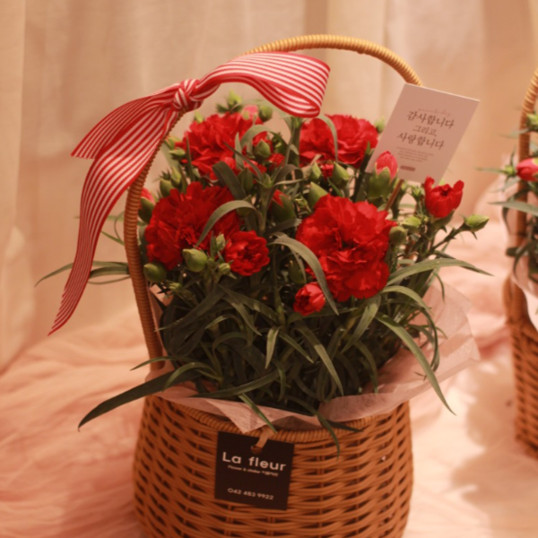 [대전] 라플레르