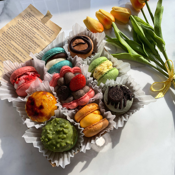 [강원 원주] 벨르마카롱