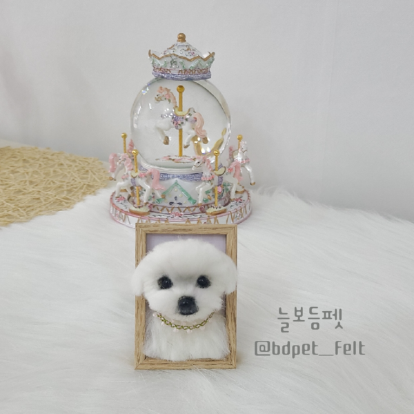 [천안] 늘보듬펫