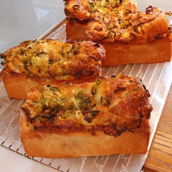 [제주 구좌] 다코네