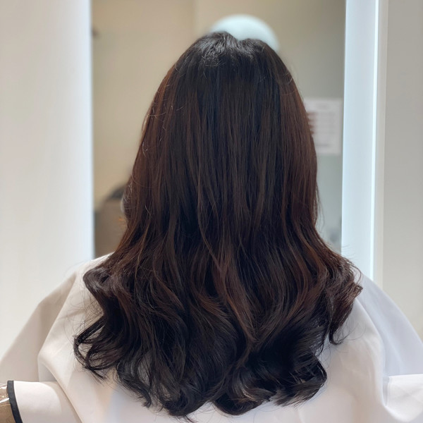 [경기 화성] 밀로헤어