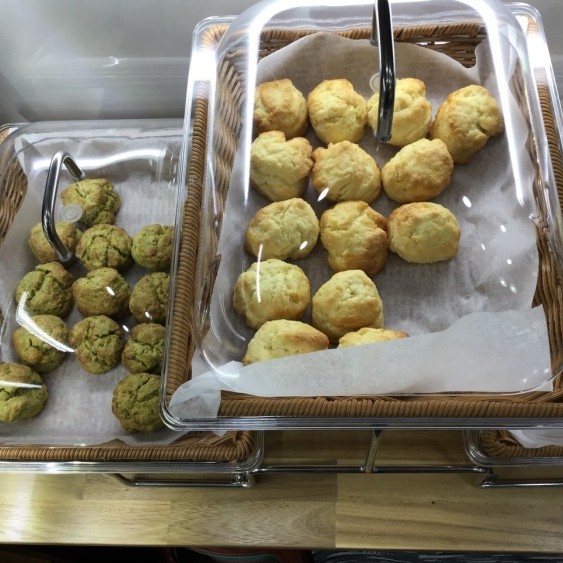 [강원 속초] 달마시안