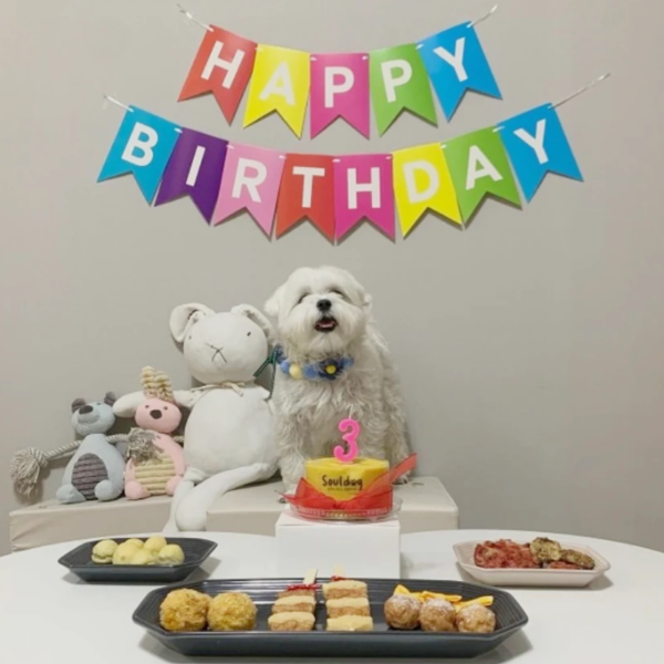 [배송] 소울독 반려견의 소울푸드