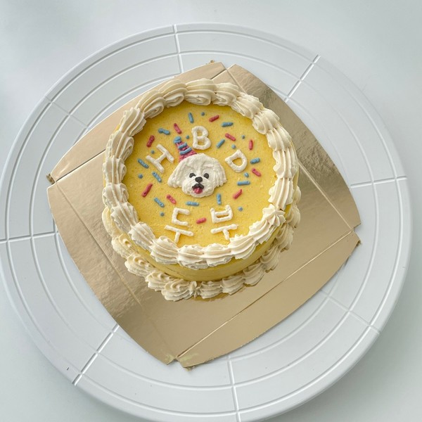 [대전 대성동] 빵긋댕긋