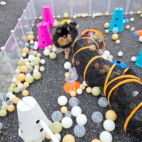 [경남 양산] 코지도기