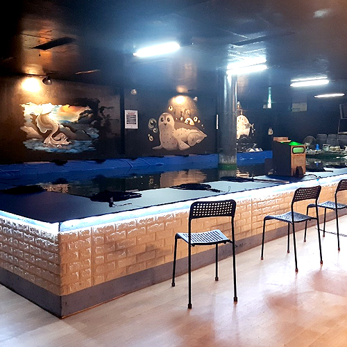 [경기 김포] 나까보까 실내낚시터