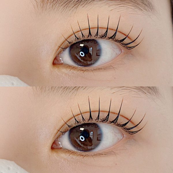 [경기 성남] 래쉬디쉬