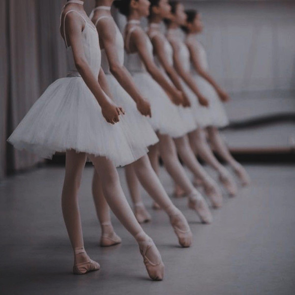 [서울 강남] 앨리발레&번지피지오