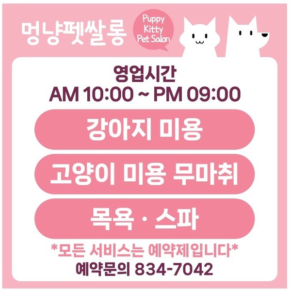 [인천 연수구] 멍냥펫쌀롱