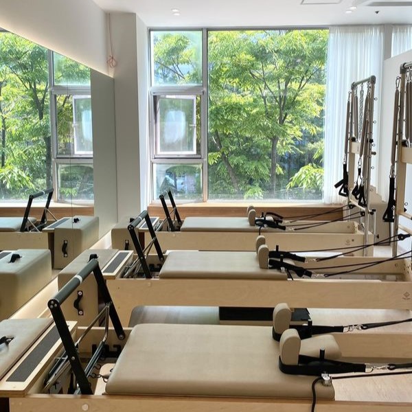 [경기/일산] 필라테스 하라