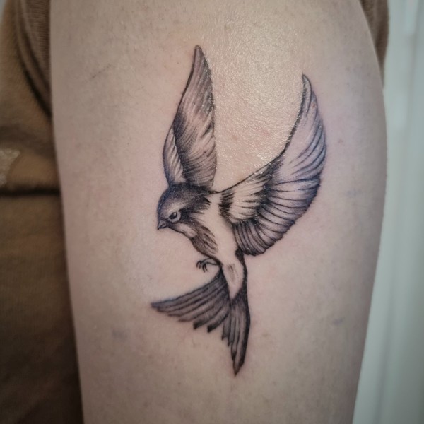 [서울 도봉구] 훈타투